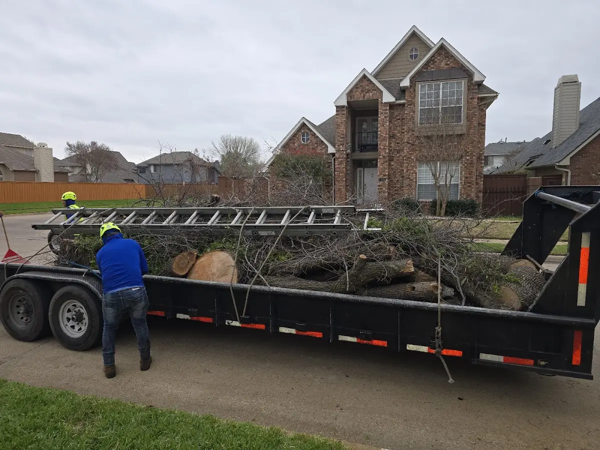 Expert Lot Clearing with proper safety equipment in Esparto